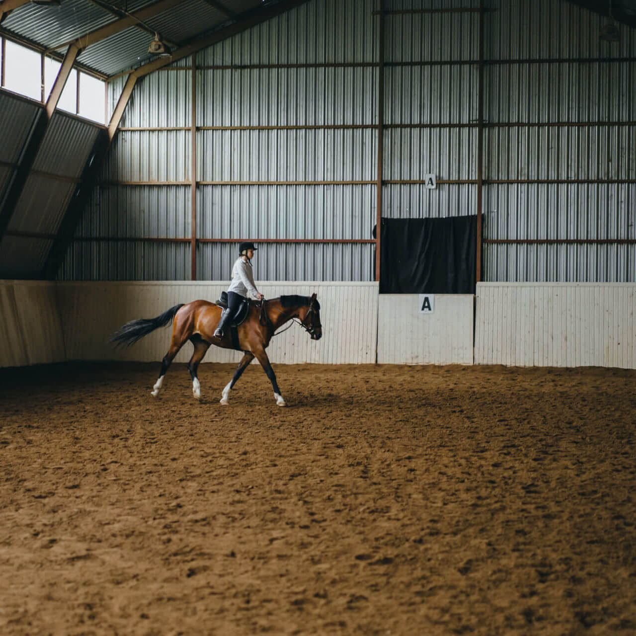 A Girl On Horseback Riding An Arena