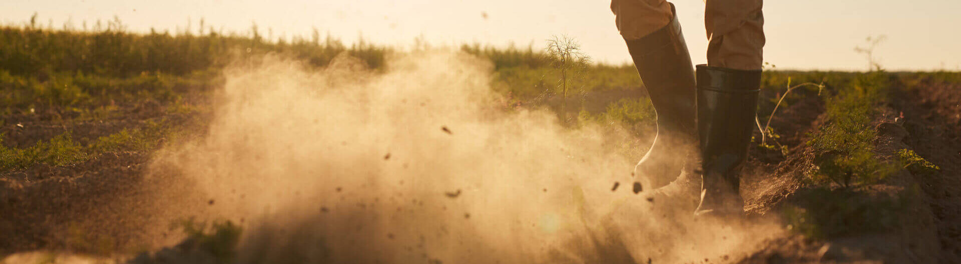 Tough Worker Walking In Field With Clouds Of Dust