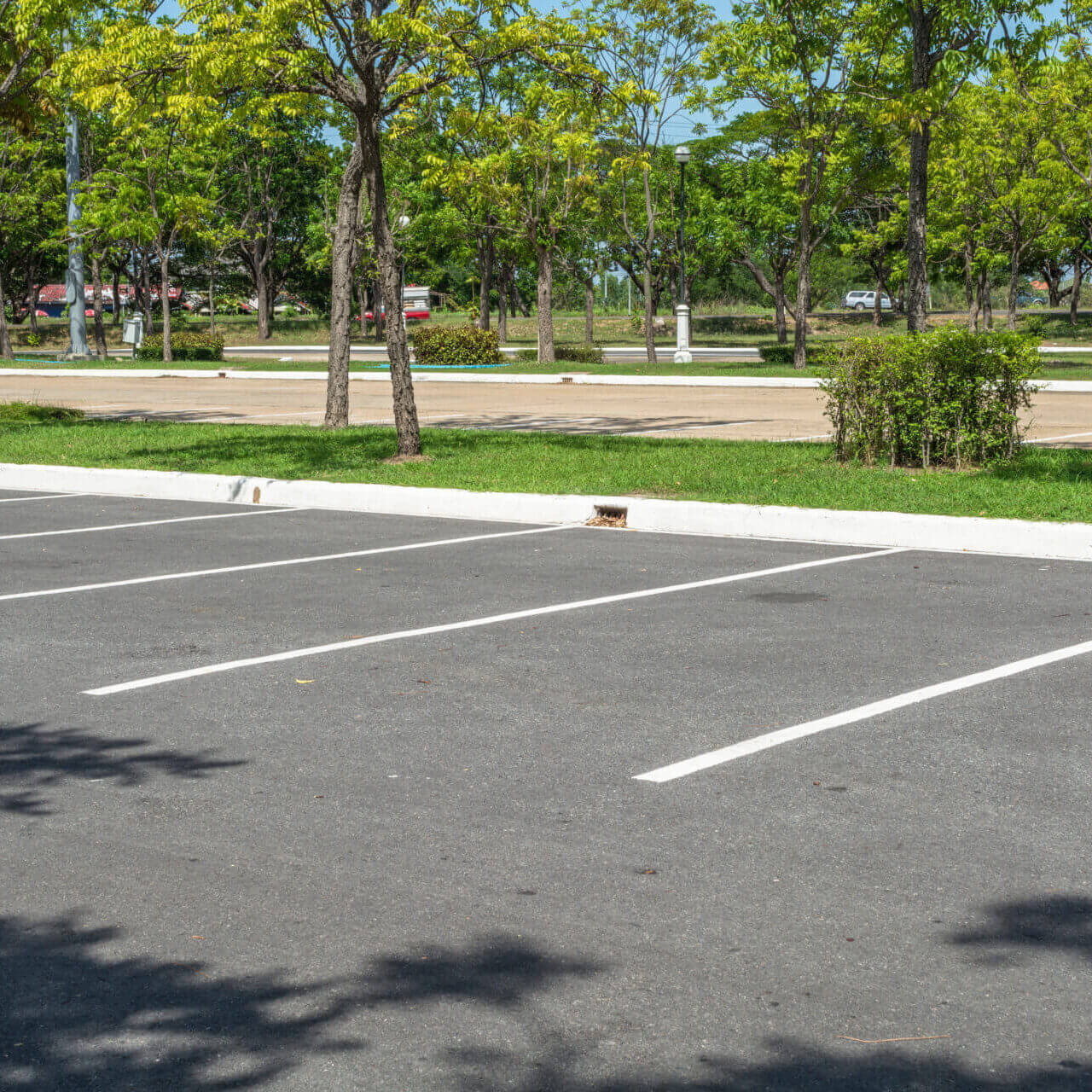 Empty Parking Lot With Trees