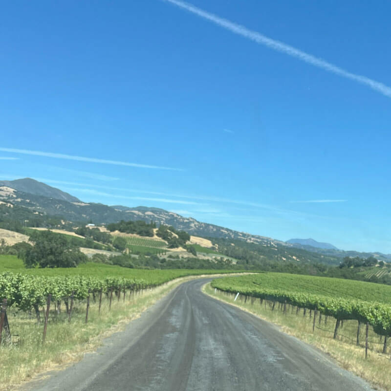 Vineyard Road