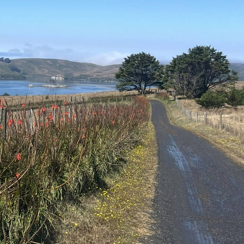 Unpaved Road